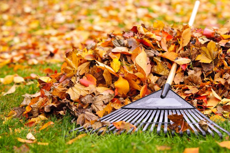 Clean Lawn with Fallen Leaves