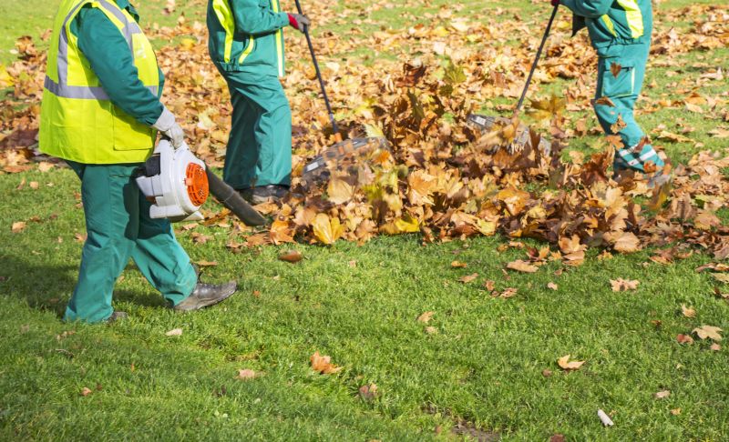 Efficient Leaf Clearing