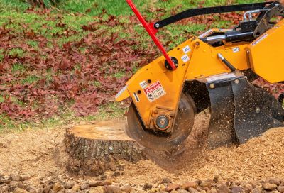 Shrub Removal Equipment