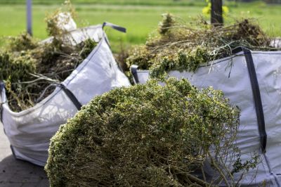 Shrub Removal - Shrub Removal Dublin, Ohio