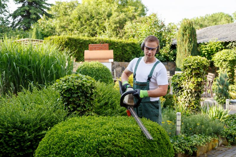 Contact About Shrub Removal